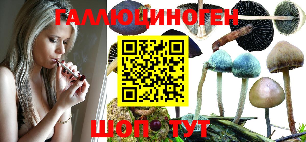 Псилоцибиновые грибы прущие грибы Анапа